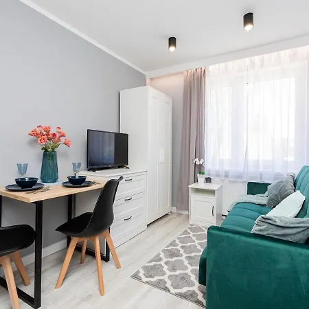 Gasthuis Rybacka 48 - Twoje Miejsce Wypoczynku, Domki, Studia, Rowery, Hulajnogi, E-foil, Balie Z Hydromasazem, Sprzet Do Polawiania Bursztynu 3*