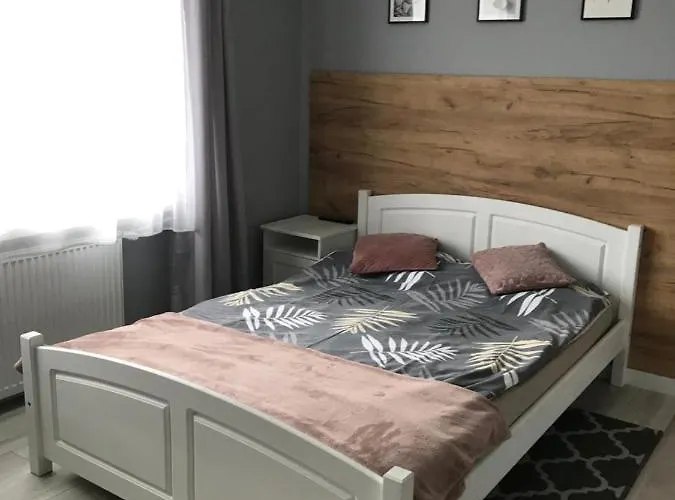 Rybacka 48 - Twoje Miejsce Wypoczynku, Domki, Studia, Rowery, Hulajnogi, E-foil, Balie Z Hydromasazem, Sprzet Do Polawiania Bursztynu Гостевой дом 3*